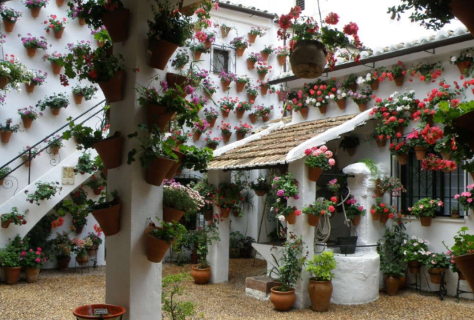 Private Visit to Córdoba’s Patios Festival