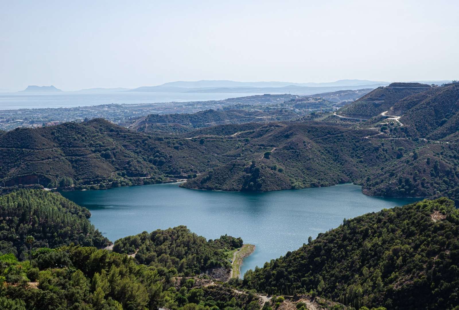 Forest Bathing in the Sierra de las Nieves